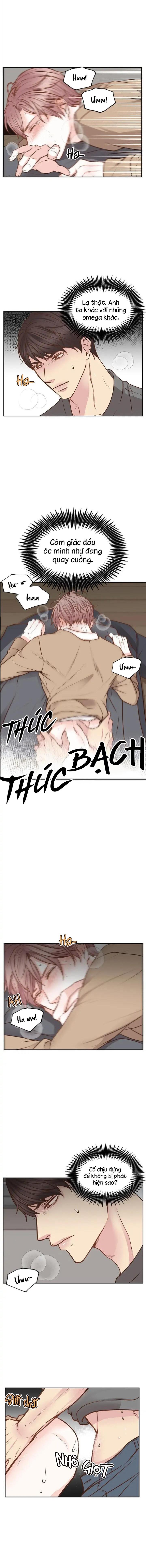 Đọc truyện Tan Chảy Trong Em - Chapter 8