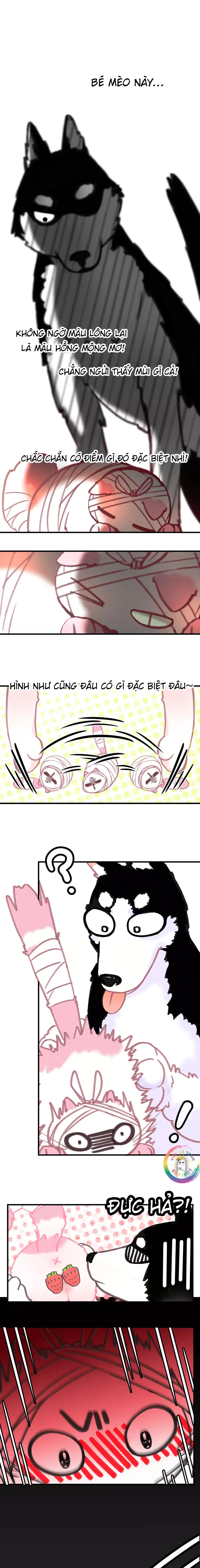 Đọc truyện Xã Hội Mồn Lèo - Chapter 5