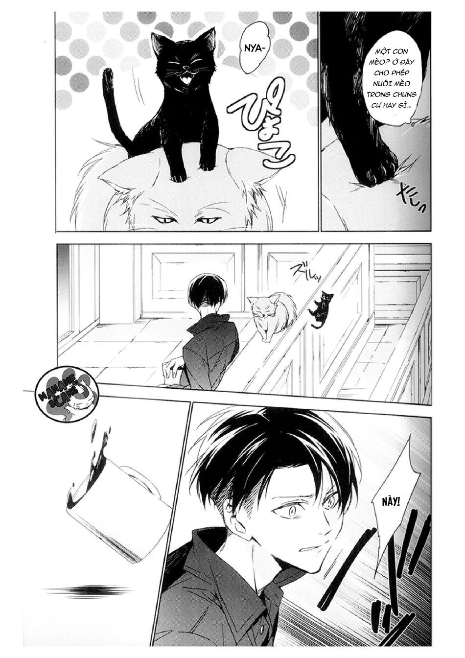 Đọc truyện Tuyển Tập Attack On Titan - Chapter 4