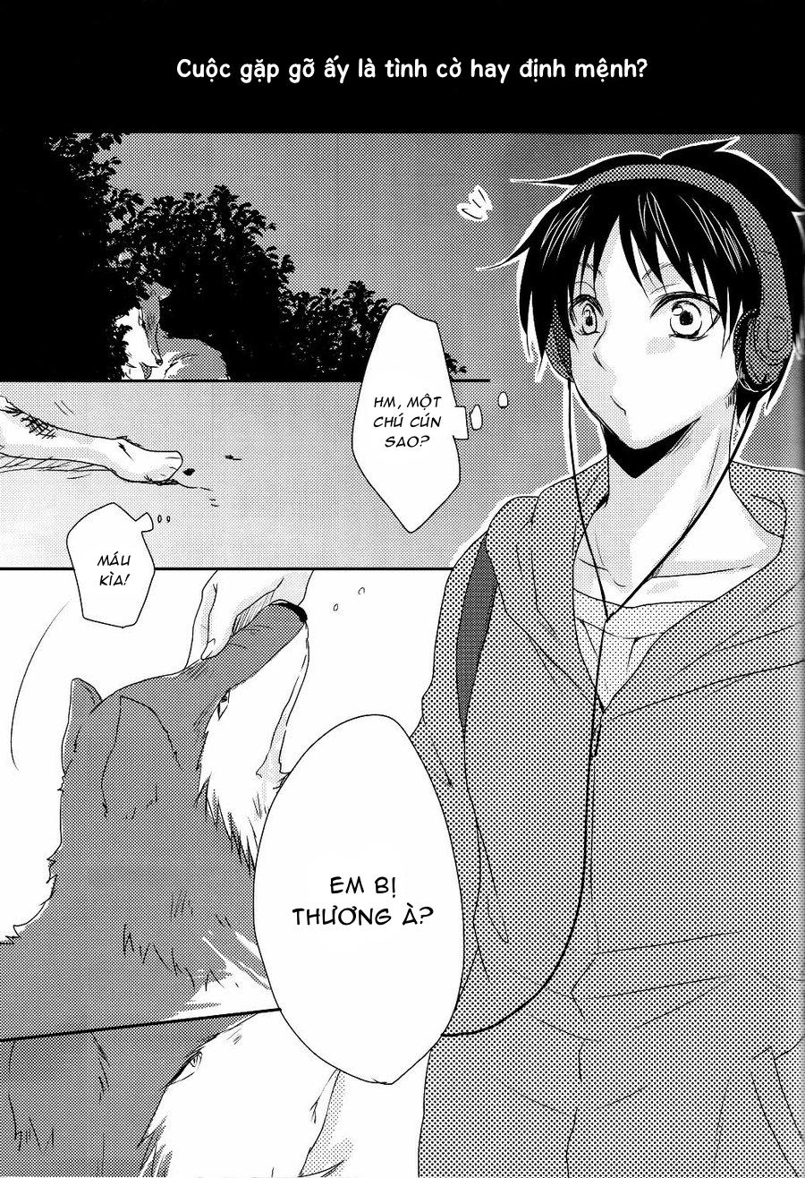 Đọc truyện Tuyển Tập Attack On Titan - Chapter 10