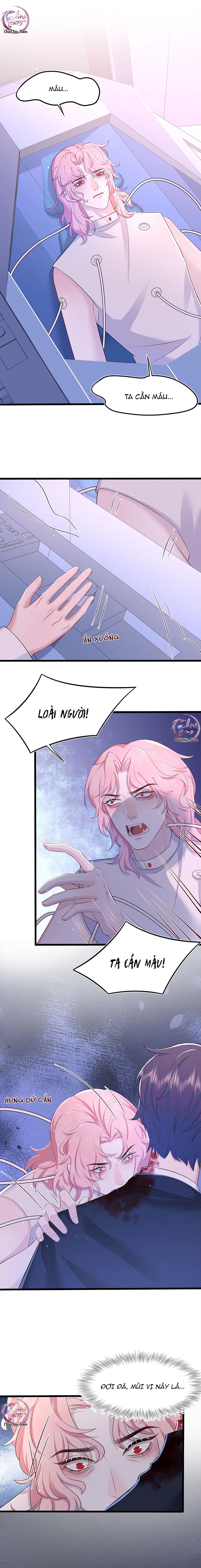 Đọc truyện Săn Đuổi Người Thương - Chapter 84